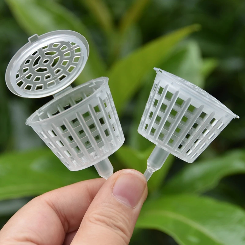 Bonsai Garden Of Ct - 20/50 Buah Keranjang Pupuk dengan Tutup,