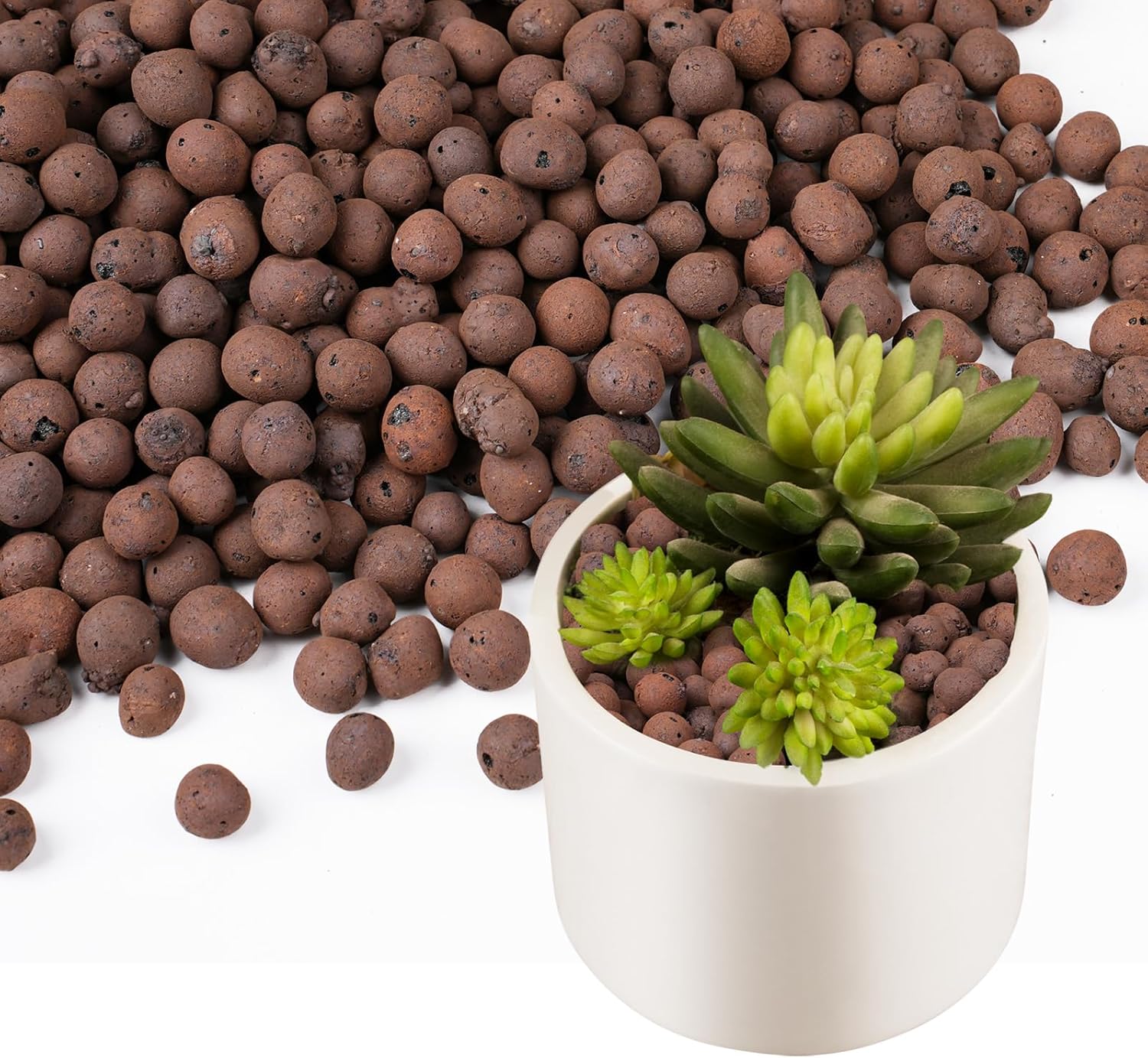 Sphagnum Moss Bag - 100/200G Kerikil Tanah Liat untuk Tanaman,
