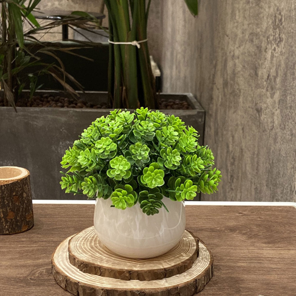 Bonsai Palsu Realistis, Tanama - Bonsai Garden And Cafe ulasan dan harga