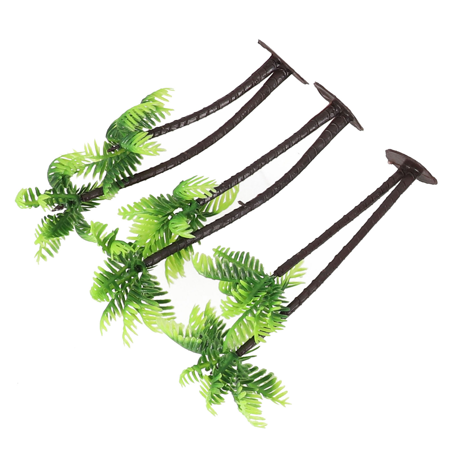 5 Buah Pohon Kelapa Mini untuk - Bonsai Garden Set Up ulasan dan harga