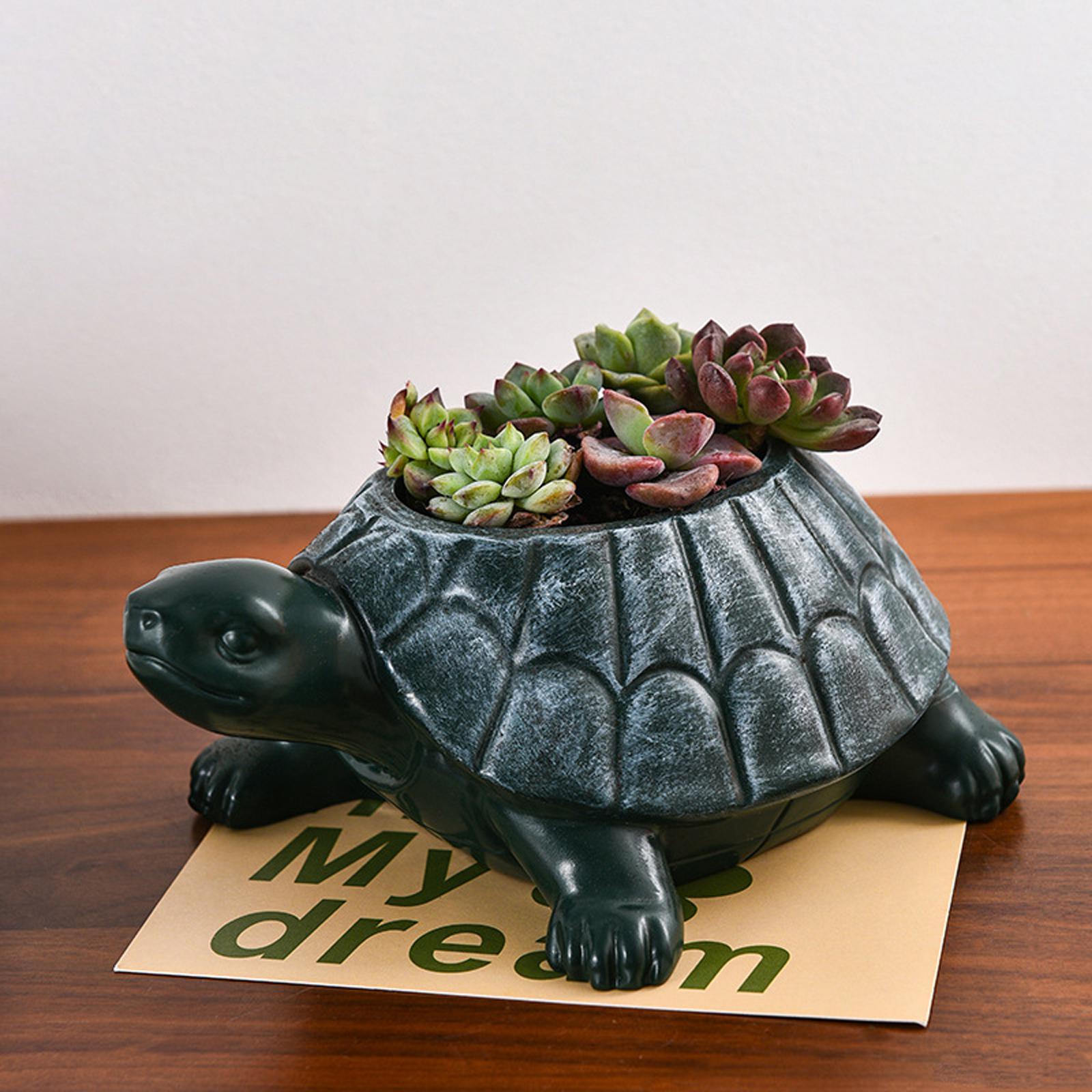 Pot Bunga Penyu Hiasan Meja De - Bonsai Garden And Cafe ulasan dan harga