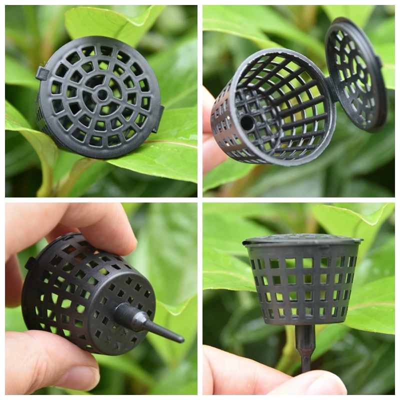 20/50 Buah Keranjang Pupuk den - Bonsai Garden Of Ct ulasan dan harga
