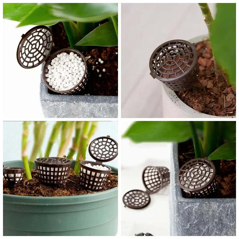 20/50 Buah Keranjang Pupuk den - Bonsai Garden Of Ct ulasan dan harga