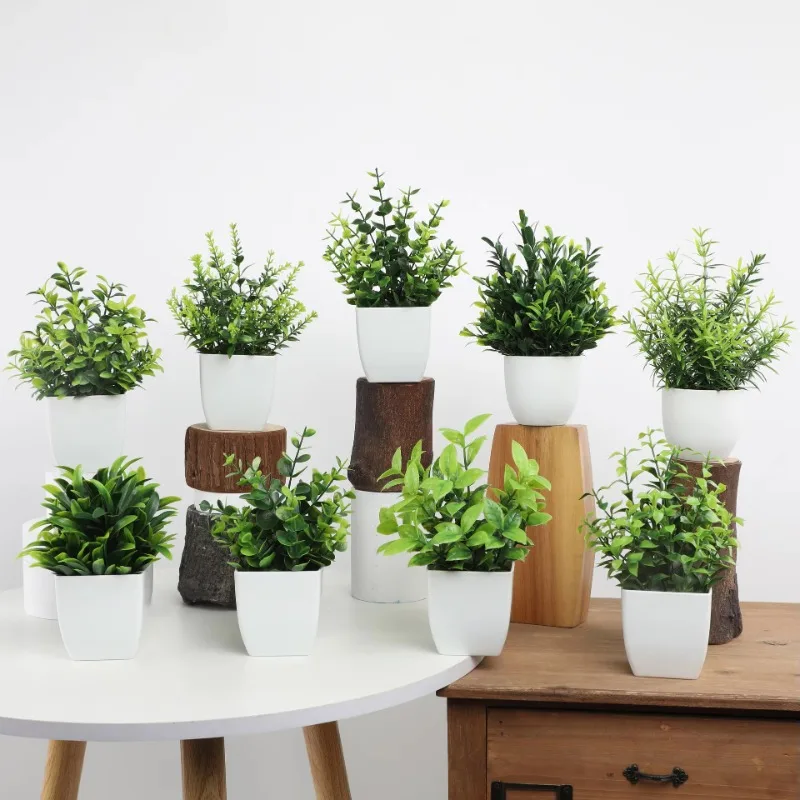Grosir OEM/ODM tanaman pot Min - Bonsai Garden Kit ulasan dan harga