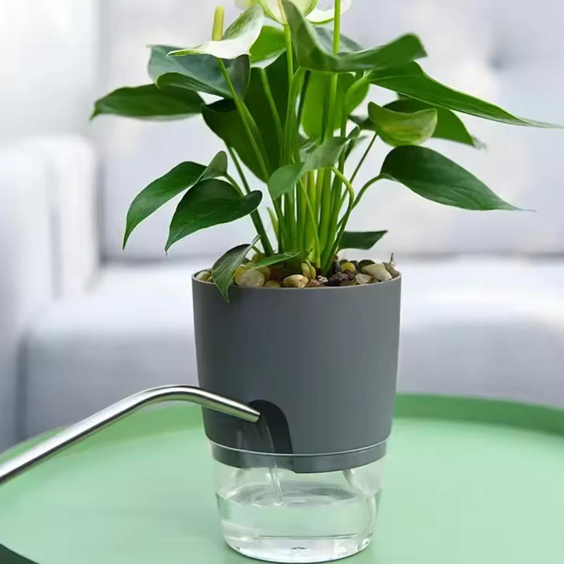 Pot Tanaman Self Watering, Pot - Sphagnum Moss Bag ulasan dan harga