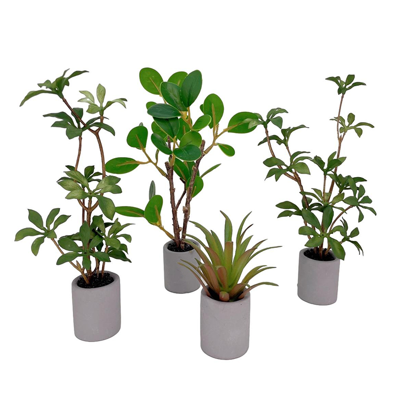1:6 miniatur rumah boneka Pot  - Bonsai Garden Kit ulasan dan harga