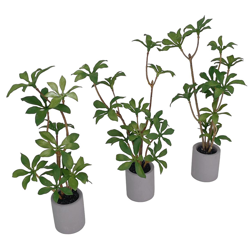 1:6 miniatur rumah boneka Pot  - Bonsai Garden Kit ulasan dan harga