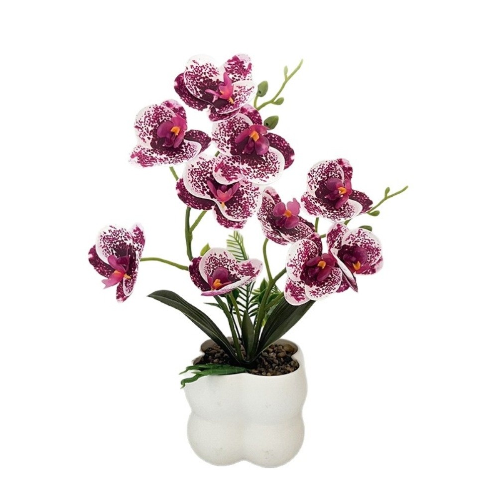 Anggrek Kupu-kupu Simulasi Mul - Bonsai Garden Kit ulasan dan harga