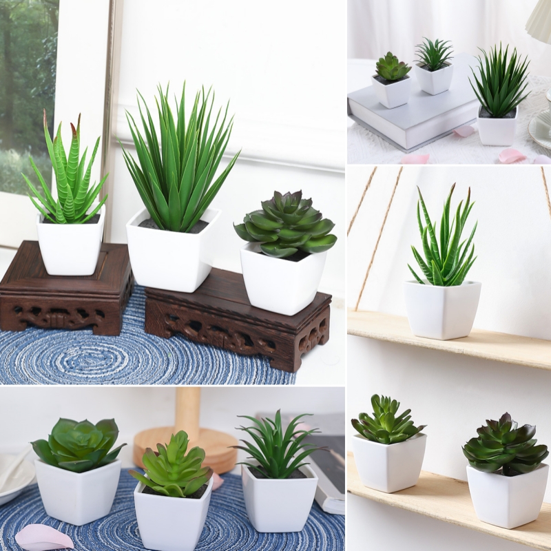 (Satu set dari 3 buah) simulas - Bonsai Garden Kit ulasan dan harga