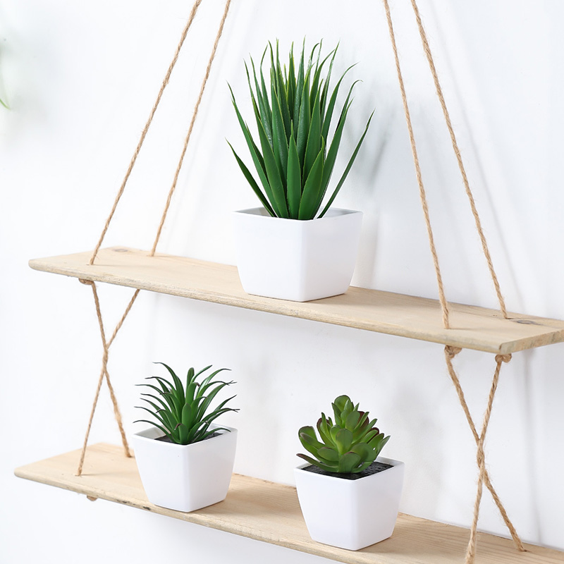 (Satu set dari 3 buah) simulas - Bonsai Garden Kit ulasan dan harga