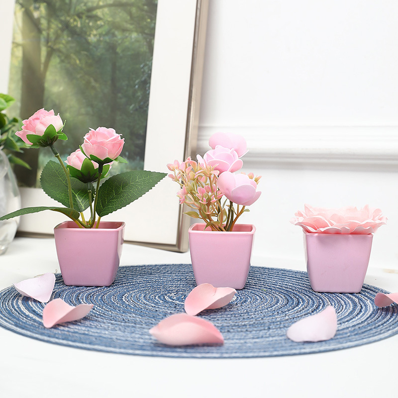 (Satu set dari 3 buah) simulas - Bonsai Garden Kit ulasan dan harga