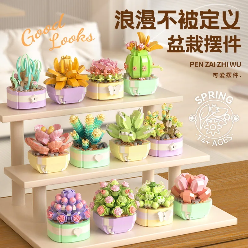 Bunga sukulen blok bangunan ka - Bonsai Garden Kit ulasan dan harga