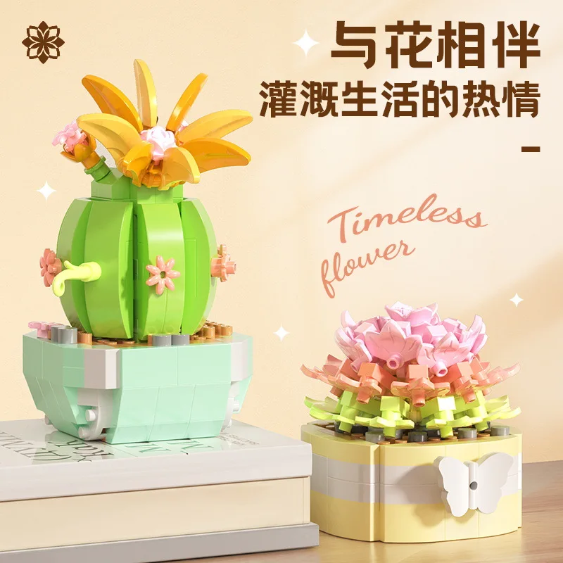 Bunga sukulen blok bangunan ka - Bonsai Garden Kit ulasan dan harga