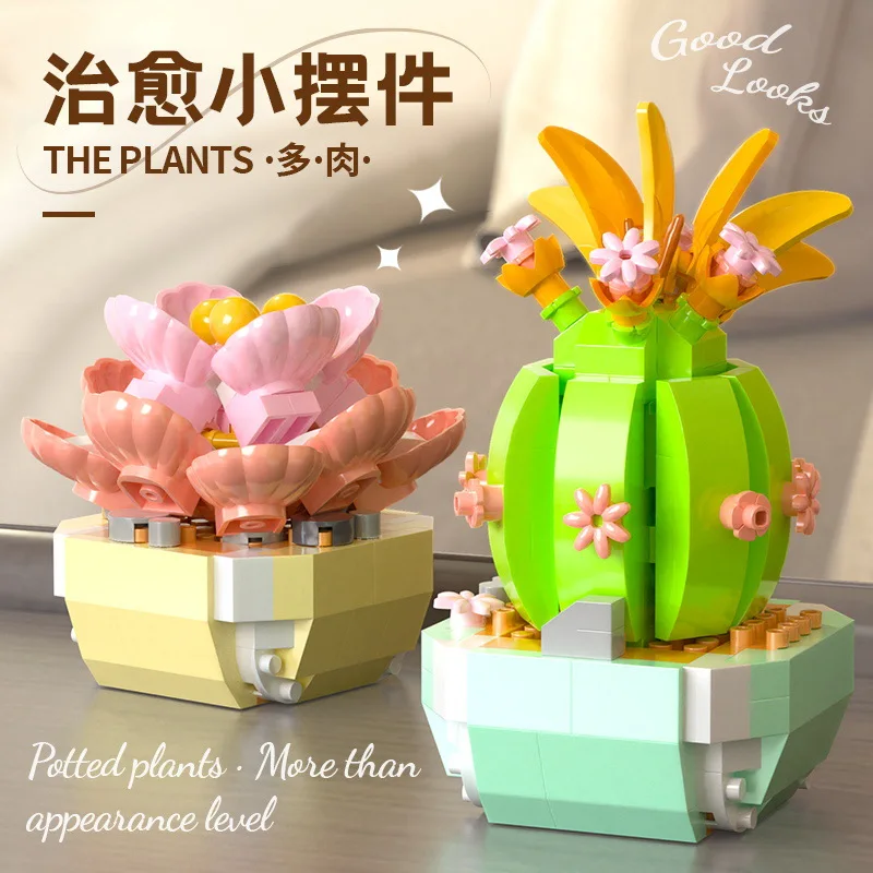 Bunga sukulen blok bangunan ka - Bonsai Garden Kit ulasan dan harga