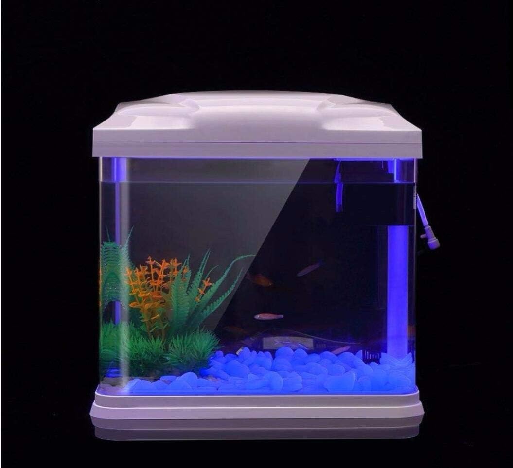 Batu Tangki Ikan Kerikil Biru  - Bonsai Garden Kit ulasan dan harga