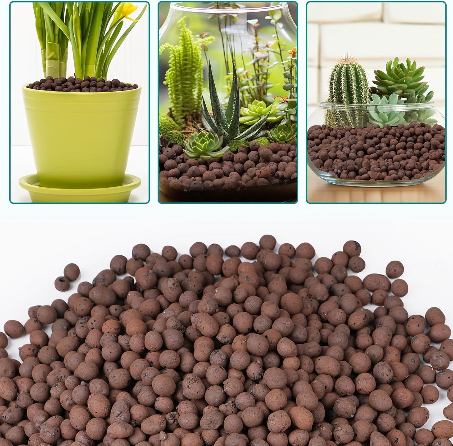 100/200G Kerikil Tanah Liat un - Sphagnum Moss Bag ulasan dan harga