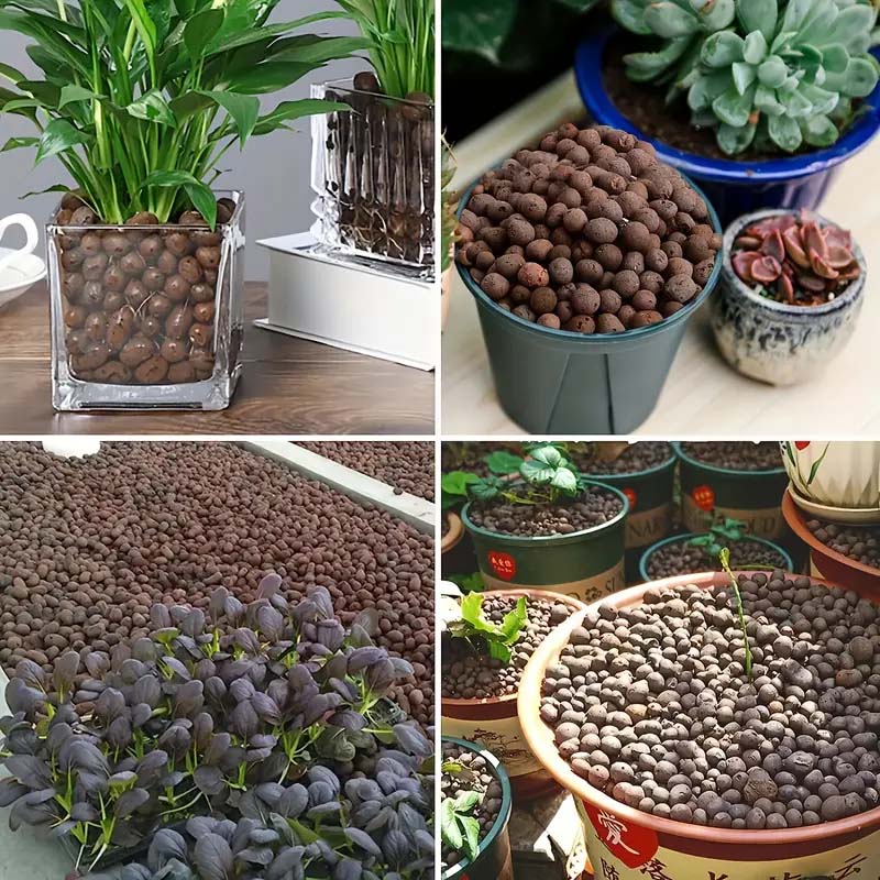 100/200G Kerikil Tanah Liat un - Sphagnum Moss Bag ulasan dan harga