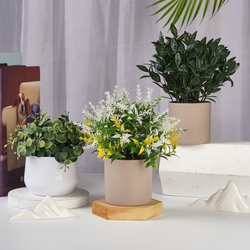 Tanaman Plastik Simulasi Tanam - Bonsai Garden Kit ulasan dan harga