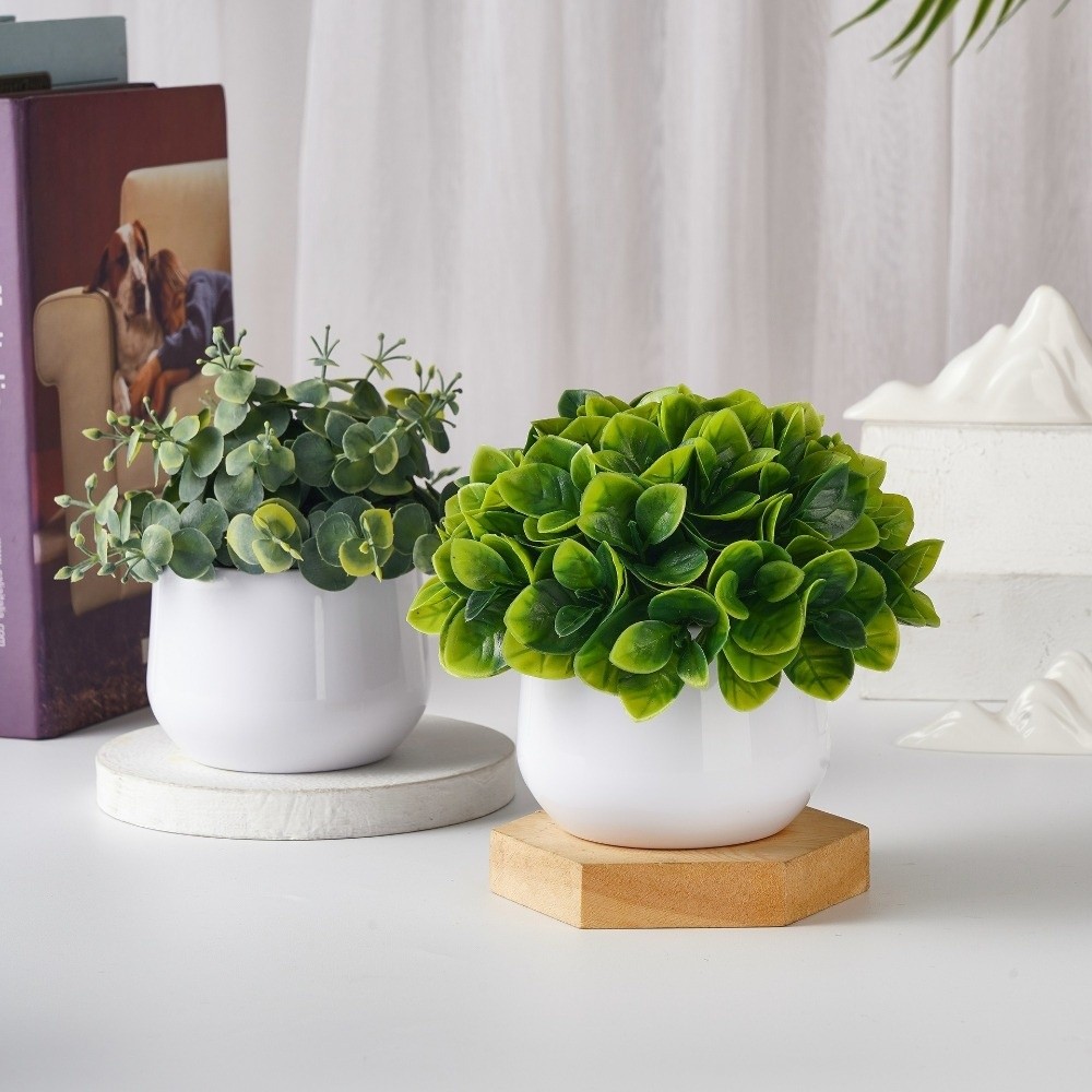 Tanaman Plastik Simulasi Tanam - Bonsai Garden Kit ulasan dan harga