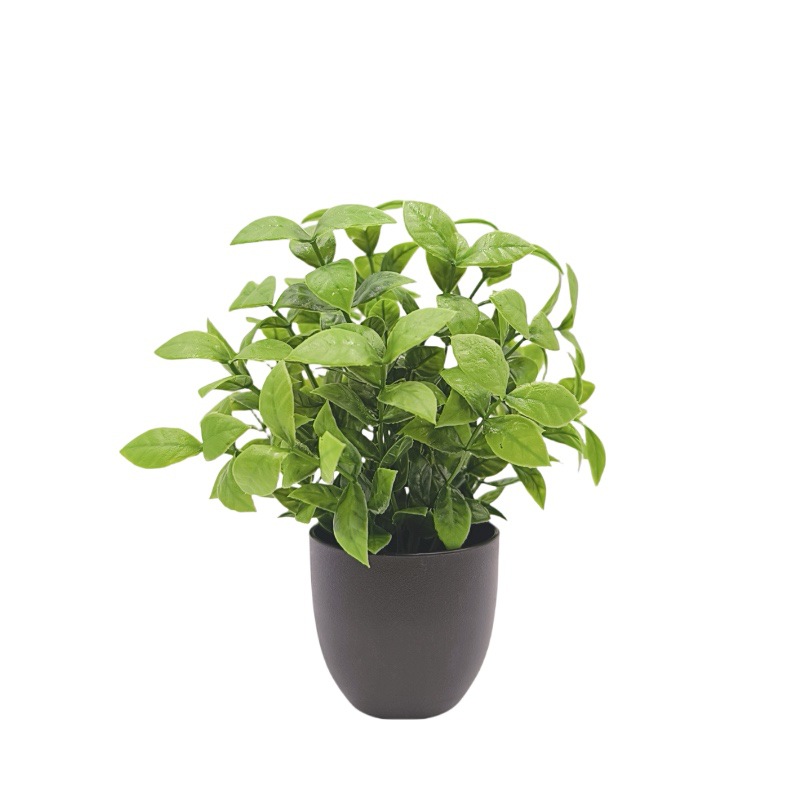 Bonsai Tanaman Hijau Simulasi, - Bonsai Garden Kit ulasan dan harga