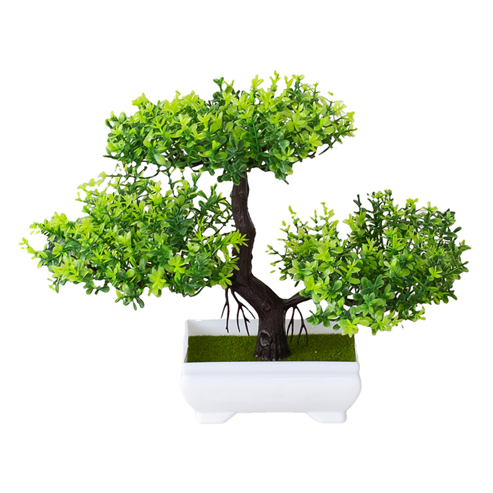 Mudah Dikelola, Dekorasi Taman - Bonsai Garden Design ulasan dan harga