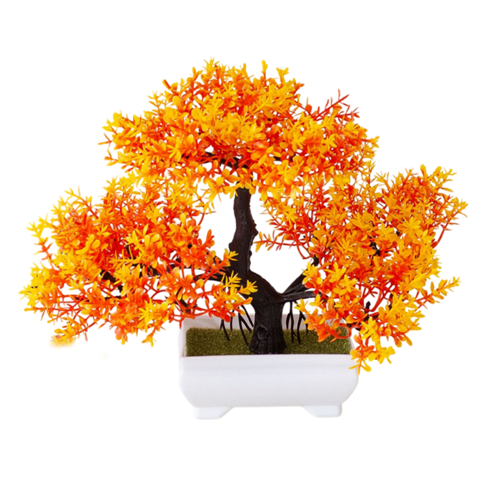 Mudah Dikelola, Dekorasi Taman - Bonsai Garden Design ulasan dan harga