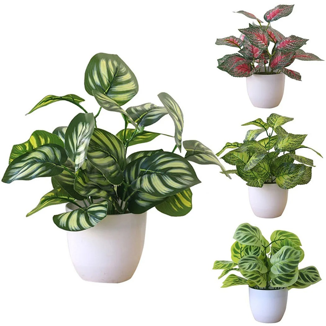 1 Buah Pot Tanaman Dedaunan Bu - Bonsai Garden Kit ulasan dan harga