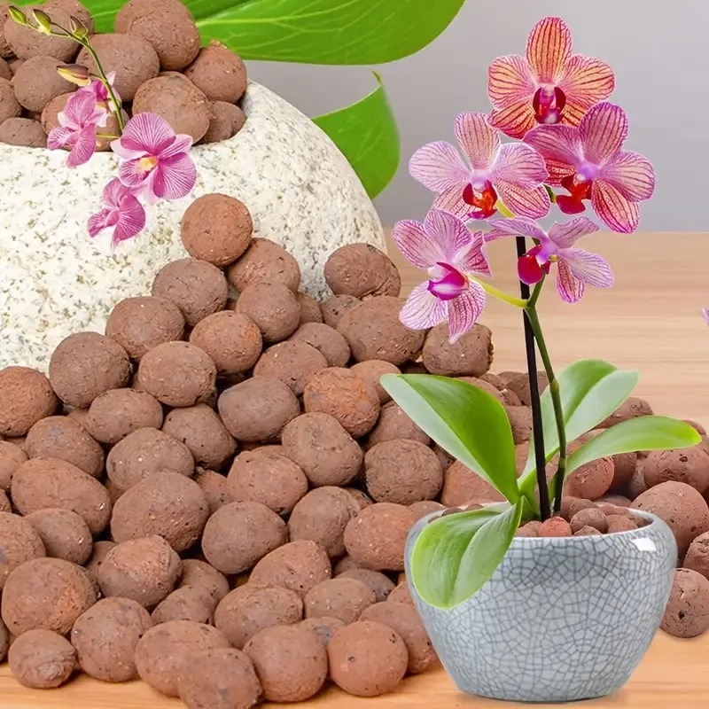 1 Buah Kerikil Tanah Liat Hidr - Sphagnum Moss Bag ulasan dan harga