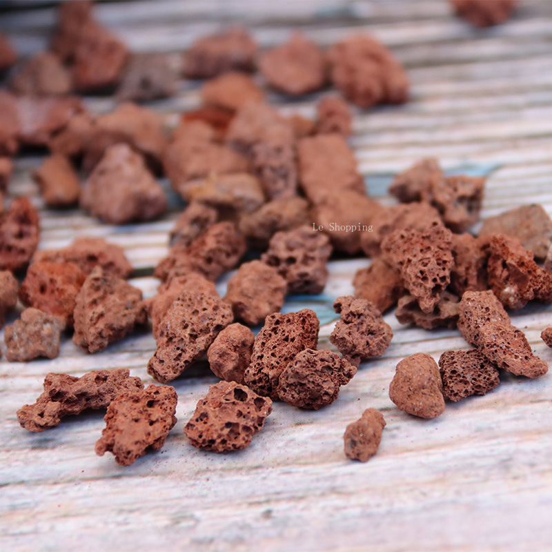 Perlengkapan berkebun, 500g/10 - Sphagnum Moss Bag ulasan dan harga